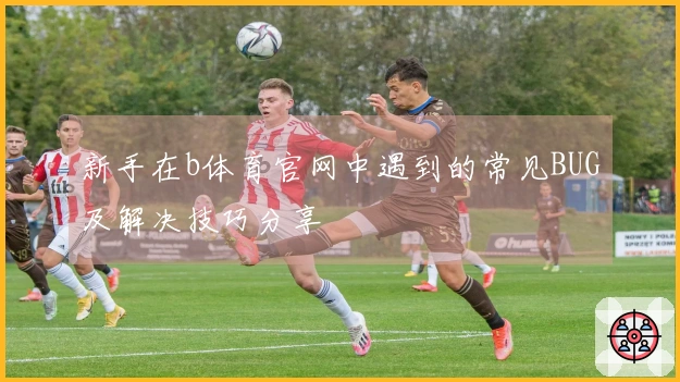 新手在b体育官网中遇到的常见BUG及解决技巧分享